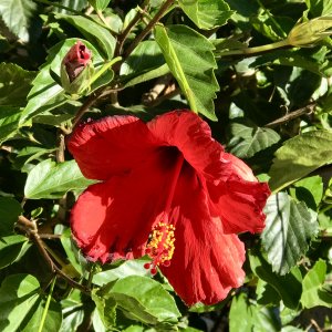 IMG_0874.JPG