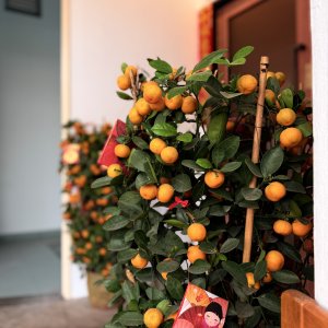 IMG_0134.jpeg