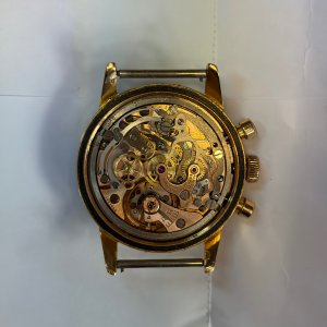 IMG_8428.jpeg