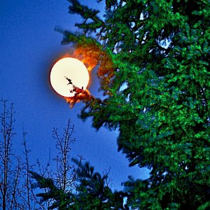moon - 1.jpeg