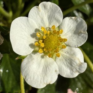 IMG_1470.jpeg