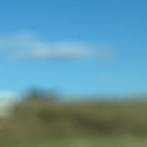 IMG_6810.jpeg