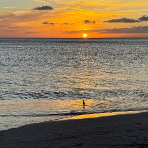 Venice Beach 2500px 45.jpg