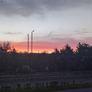 1000103387.jpg