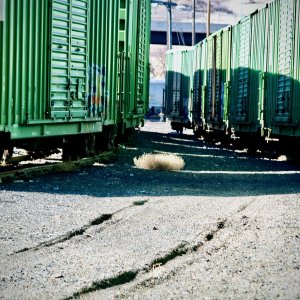 train - 1.jpeg