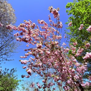 IMG_4076.jpeg