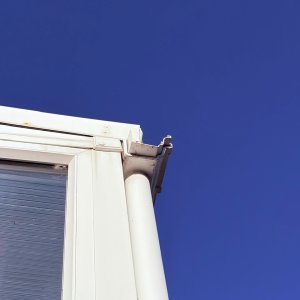 IMG_4278.jpeg
