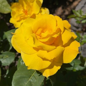 IMG_9913.jpeg