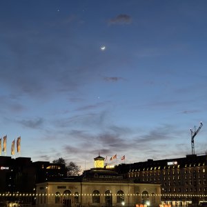 IMG_1996.jpeg