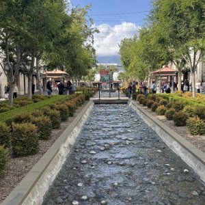 IMG_1532.jpeg