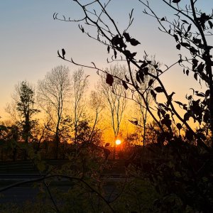 IMG_4757.jpeg