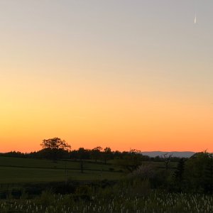 IMG_4784.jpeg