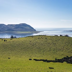 DavaarIsland20260424.jpg