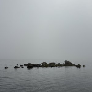 IMG_0188.jpeg