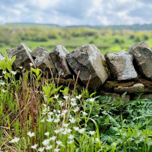 IMG_5005.jpeg