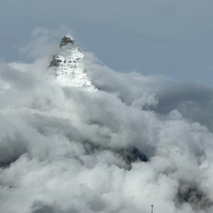 IMG_5530.jpeg