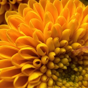IMG_5068.jpeg