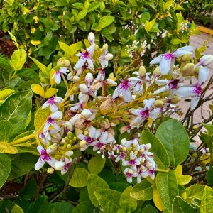 IMG_4038.jpeg