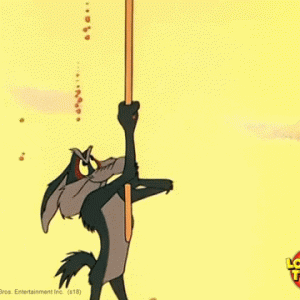 IMG_8808.gif