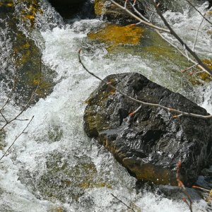 DSC_0202.jpg