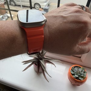 IMG_3046.jpeg