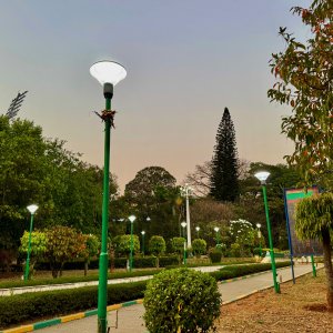 IMG_4051.jpeg