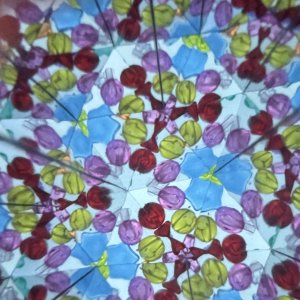 IMG_1640.jpeg