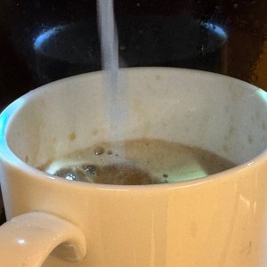 IMG_9734.jpeg