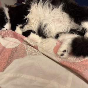 IMG_6854.jpeg