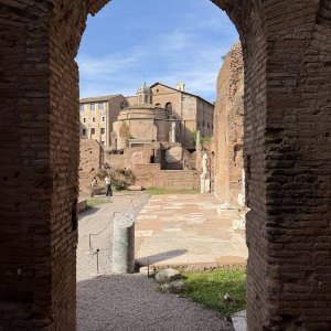 IMG_2166.jpeg