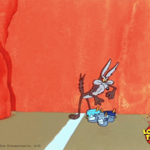 IMG_9257.gif