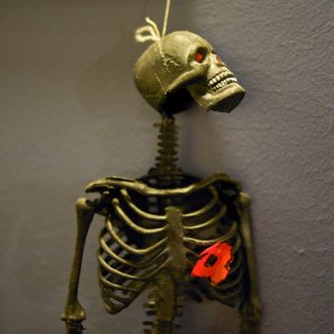 1000106654.jpg