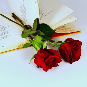 bookroses - 1.jpeg