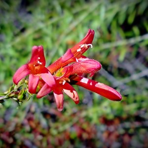 IMG_20260510_084500cxv.jpg