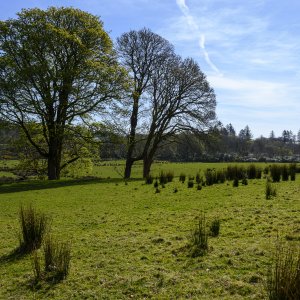 Saddell20260423.jpg