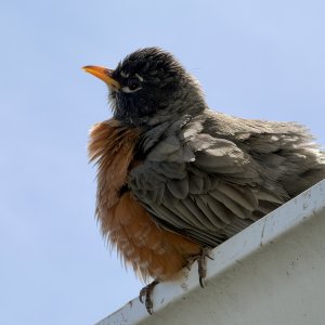 IMG_0637.jpeg