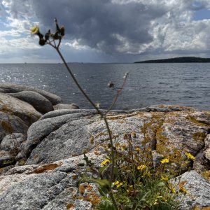 IMG_0070.jpeg