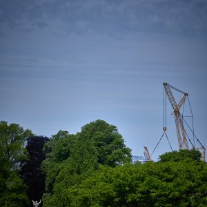 2026-05-13 ~ R52_1548.jpg