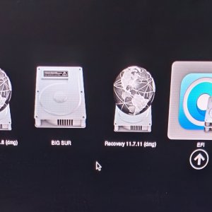 1000200019.jpg