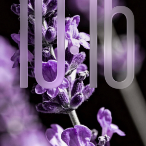 IMG_5960.png