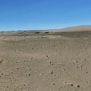 IMG_0502.jpeg