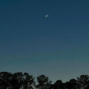 IMG_5570.jpeg