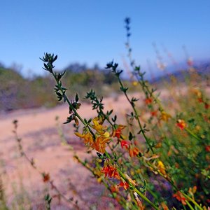 Compress_20260520_065326_6744.jpg