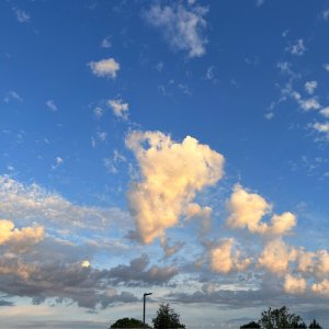 IMG_6206.jpeg
