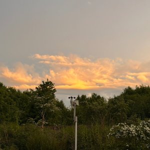 IMG_6173.jpeg
