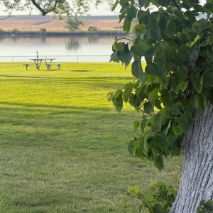 treeriver - 1.jpeg