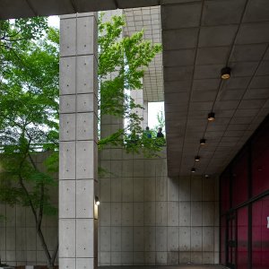 2026-05-22 ~ A7C01134.jpg