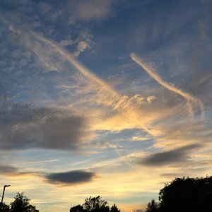 IMG_6400.jpeg