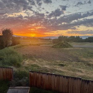 sunrise - 1.jpeg