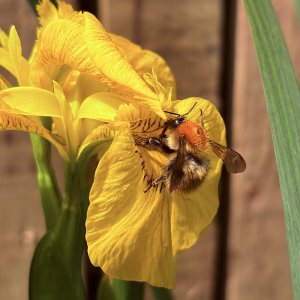 IMG_6749.jpeg